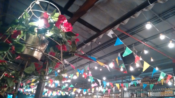 Not a great pic, I admit!